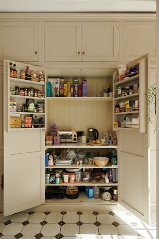 A kitchen pantry inside a cabinet