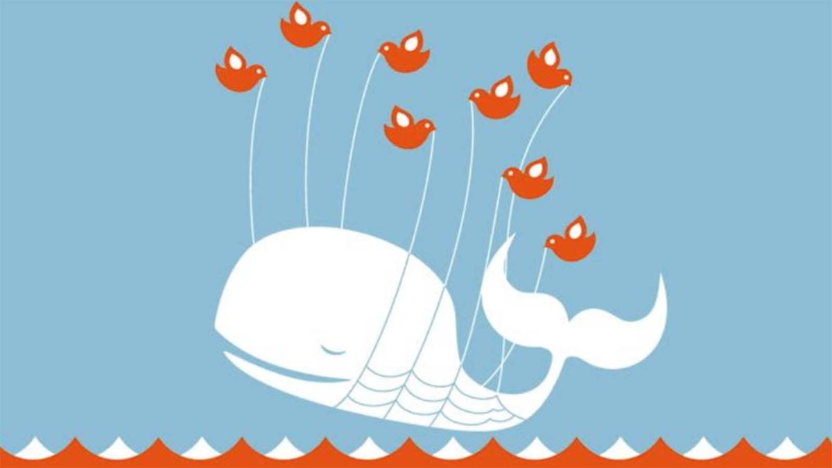 A cartoon whale being lifted out of the sea by birds with ropes