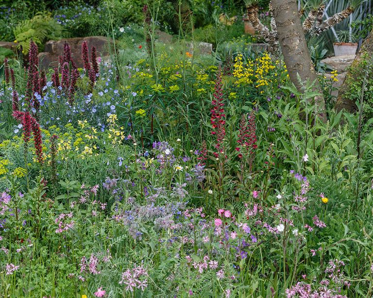 RHS Chelsea Flower Show 2020: Summer gardening tips | Homes & Gardens