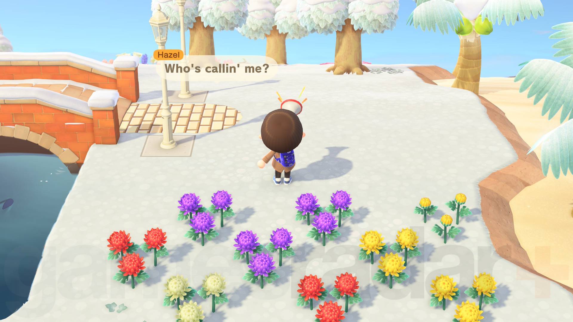 Animal Crossing New Horizons player using megaphone to call out to Hazel with Hazel saying &amp;quot;Who's callin' me?&amp;quot;