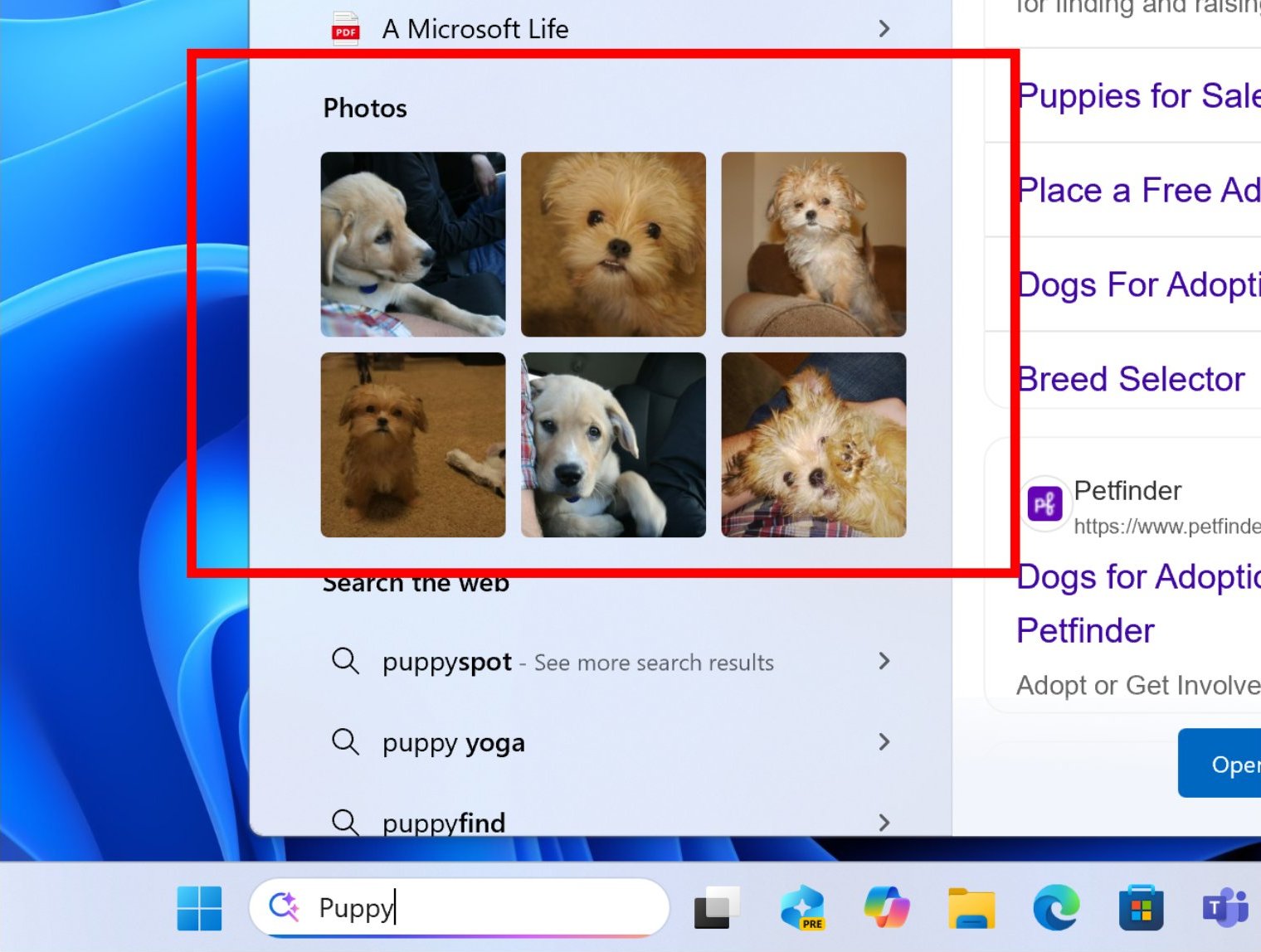 Windows Search with image grid result