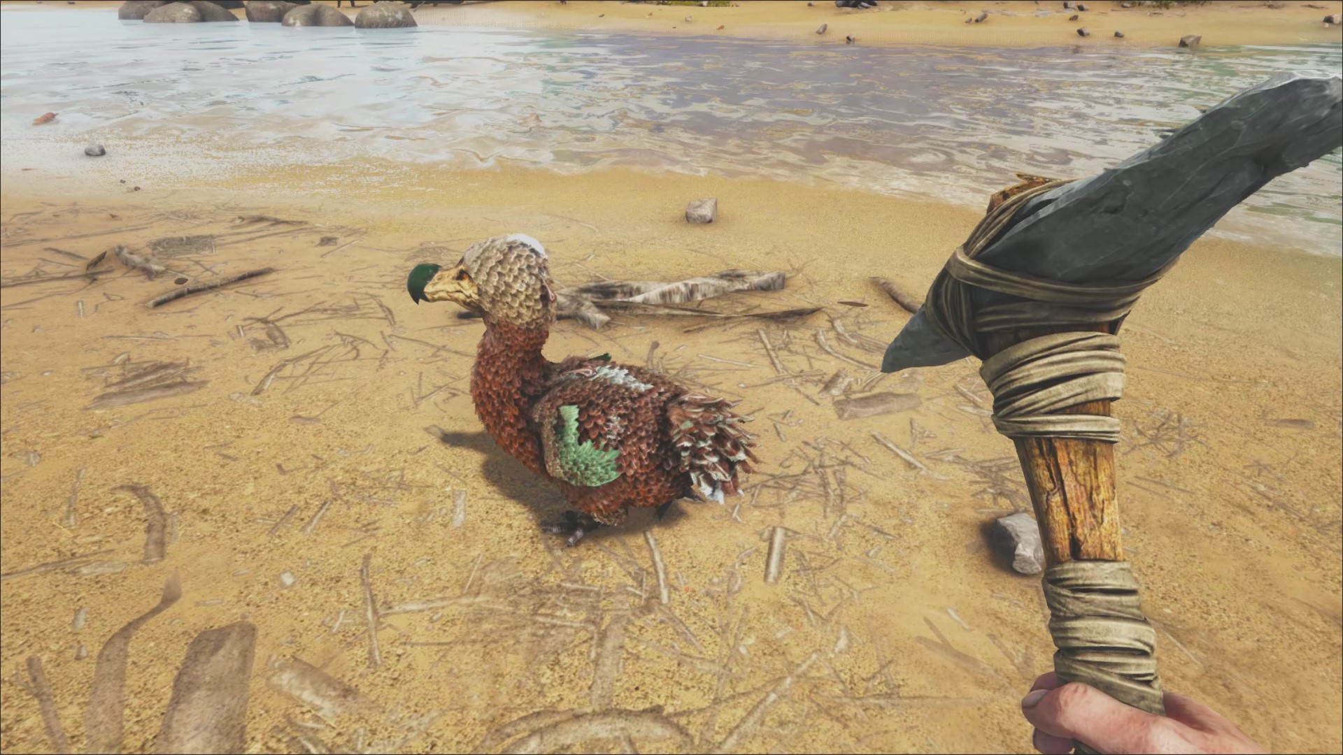 Ark Survival Evolved tips