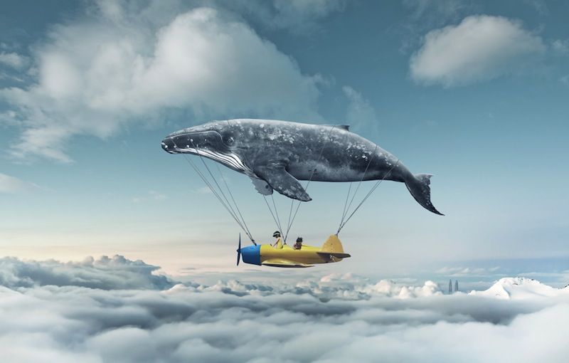 a whale holding up a flying airplane like a balloon