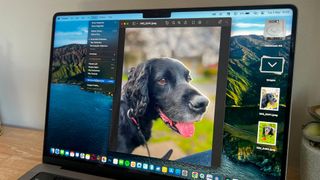 How to remove the background from an image on macOS using Quick Actions