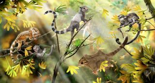 Here, a reconstruction of arboreal mammals in a Jurassic forest. The three animals on the left side represent three newfound species of euharamiyidan mammals that lived some 160 million years ago.