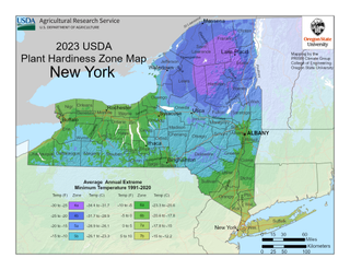 USDA Plant Hardiness Zone Map for New York