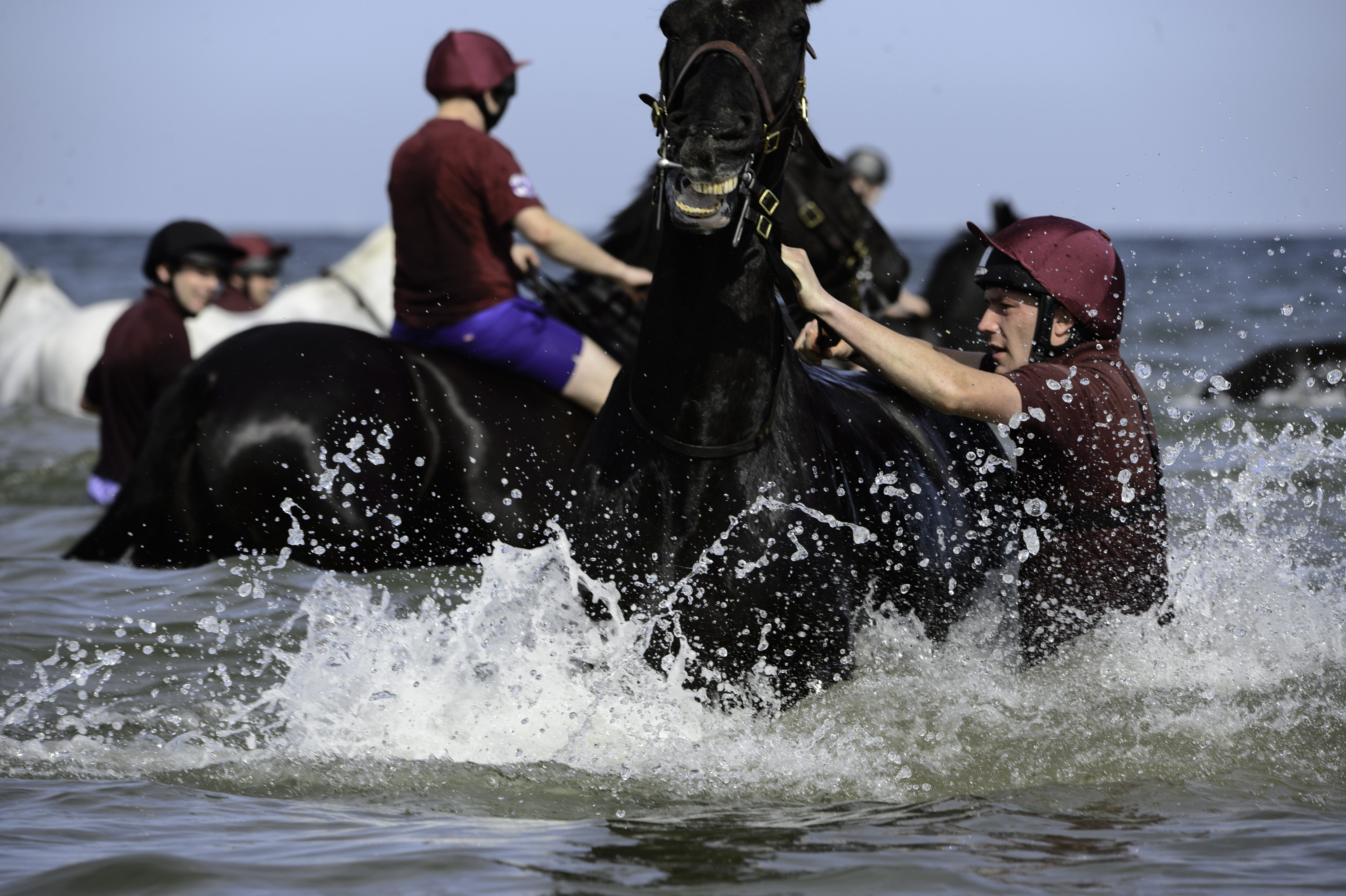 Swimming with the horses is just one of an extensive line up of activities on the regiment’s summer camp, including tent-pegging, showjumping and cross-country