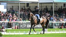 Burghley Horse Trials dressage &ndash; Caroline Powell and Greenacres Special Cavalier