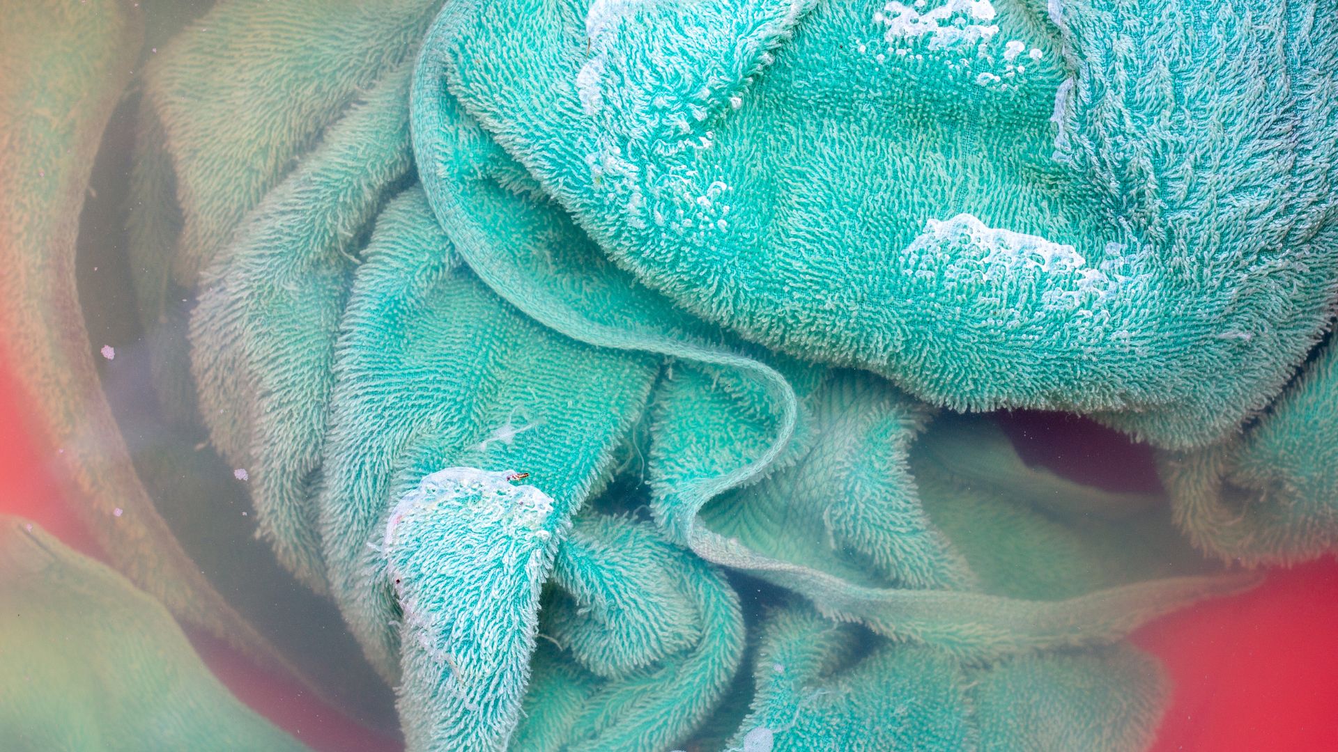 picture of blue towel soaking in water before cleaning