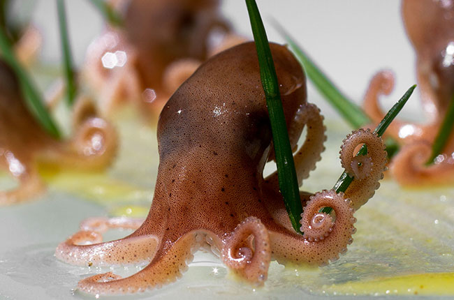 restaurants in Barcelona