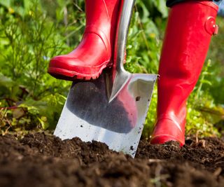 digging with a spade