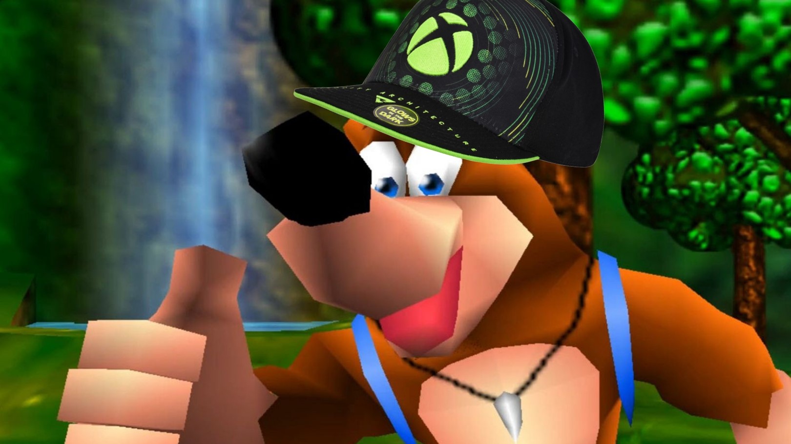 Banjo in an Xbox hat