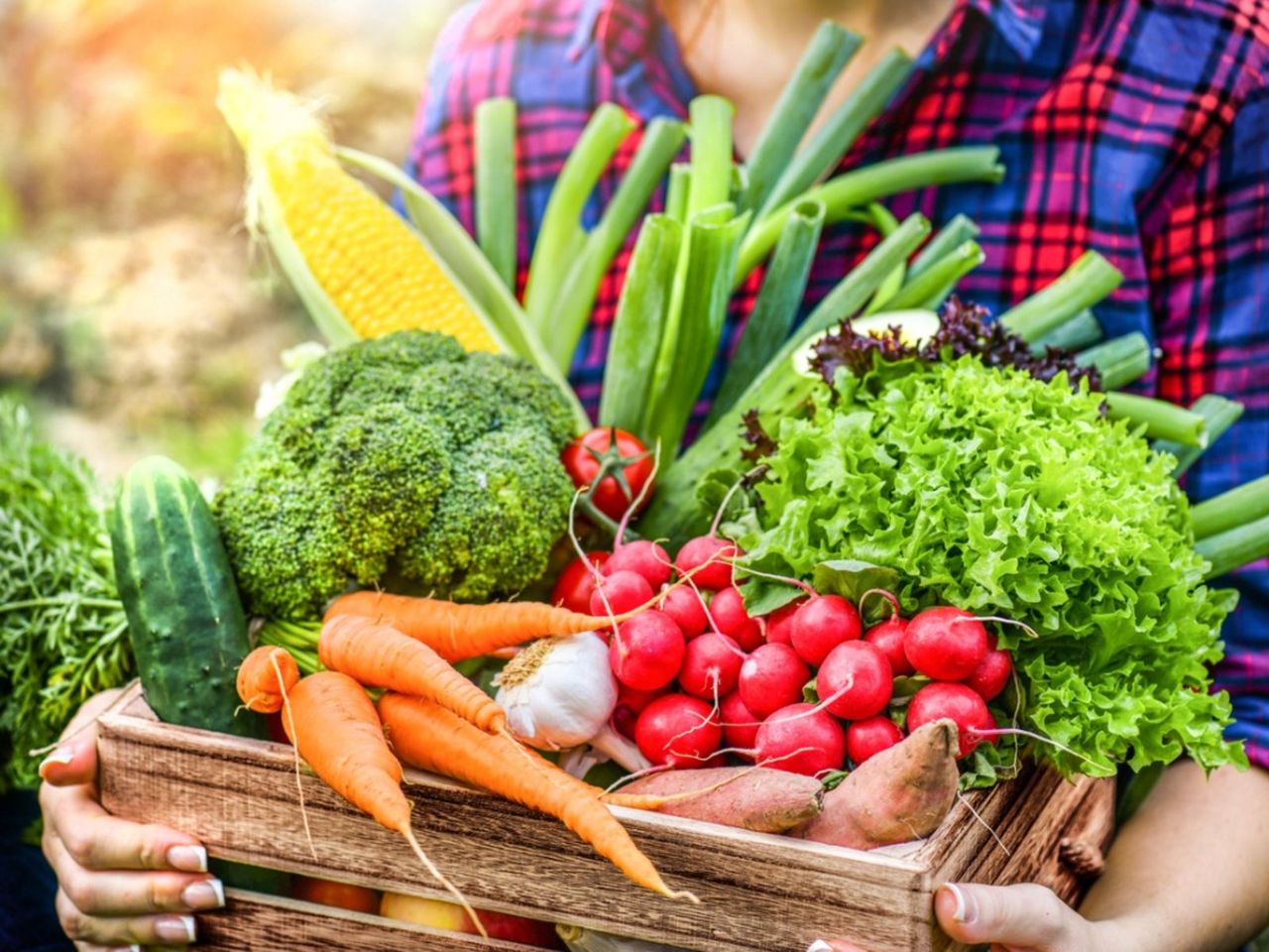 Person Holding A Basket Full Of Fresh Vegetables