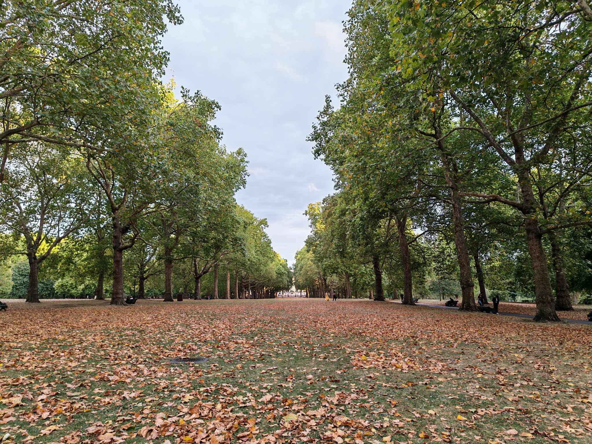 Honor Magic V5 review photos in London