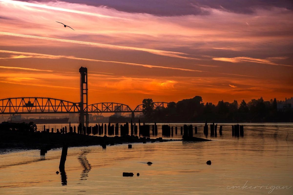 GuruShots - Vivid Landscapes March 2026