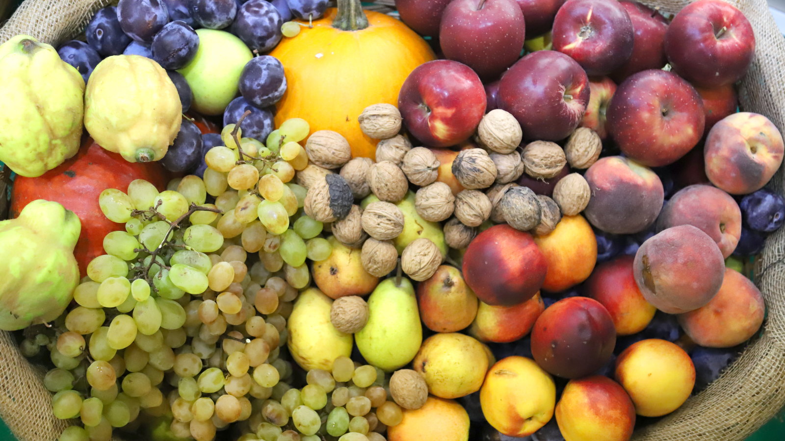 A harvest of various fruits on display