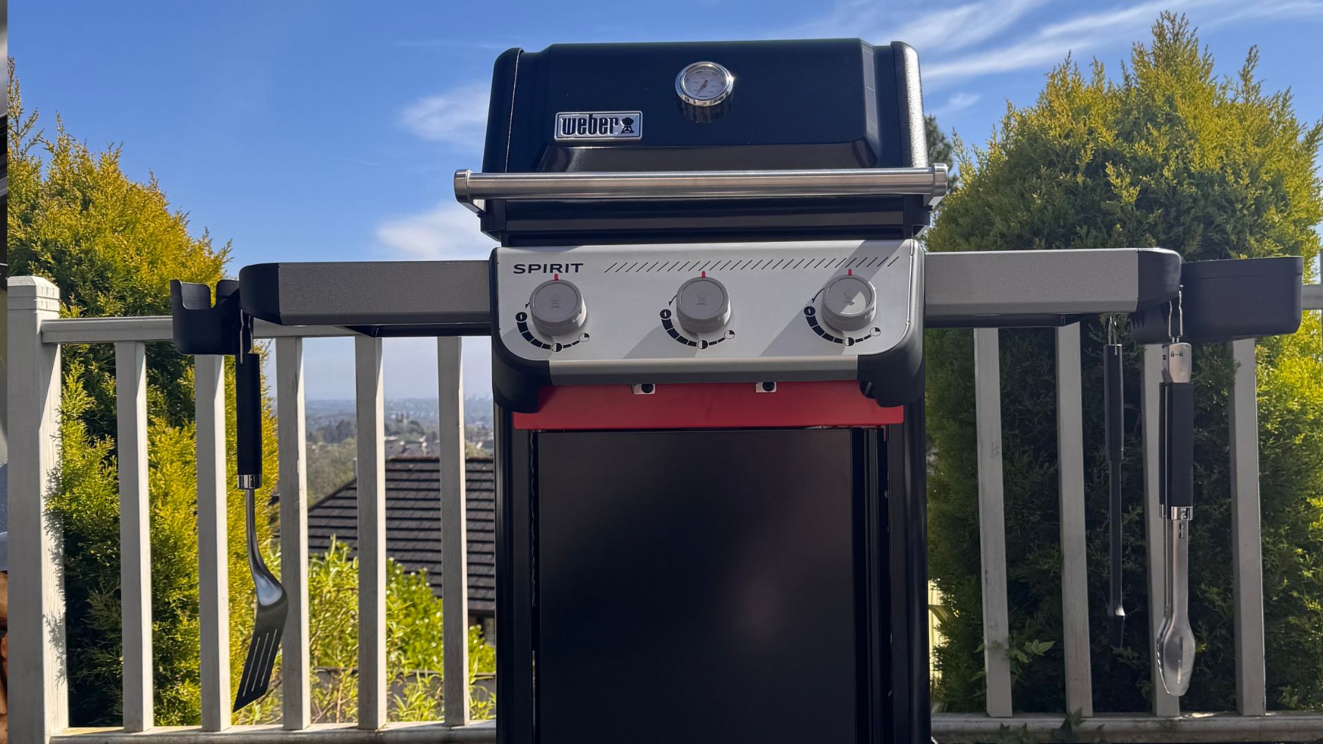 testing the Weber Spirit E-310 Barbecue