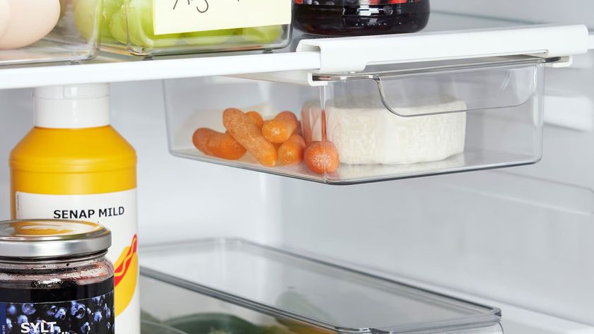 KLIPPKAKTUS Storage box for fridge