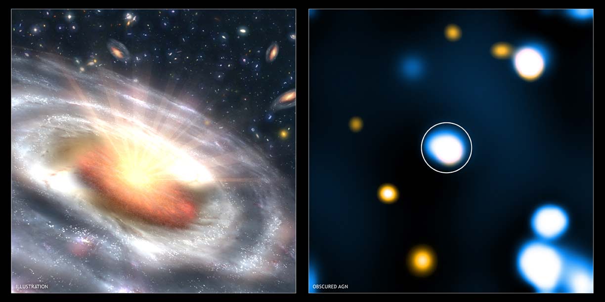 Explosions Starve Black Holes