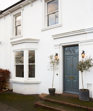 home exterior with white wall and plant
