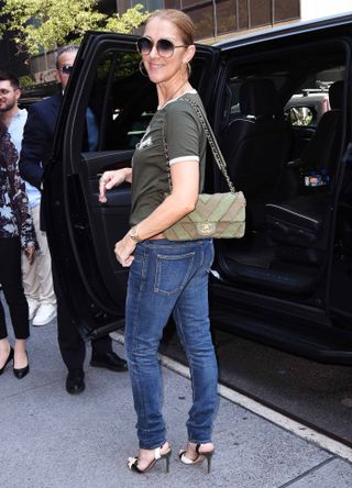 Celine Dion wearing a green top and bag