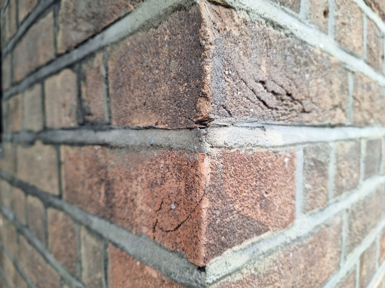 A photo captured on the Samsung Galaxy A54 5G