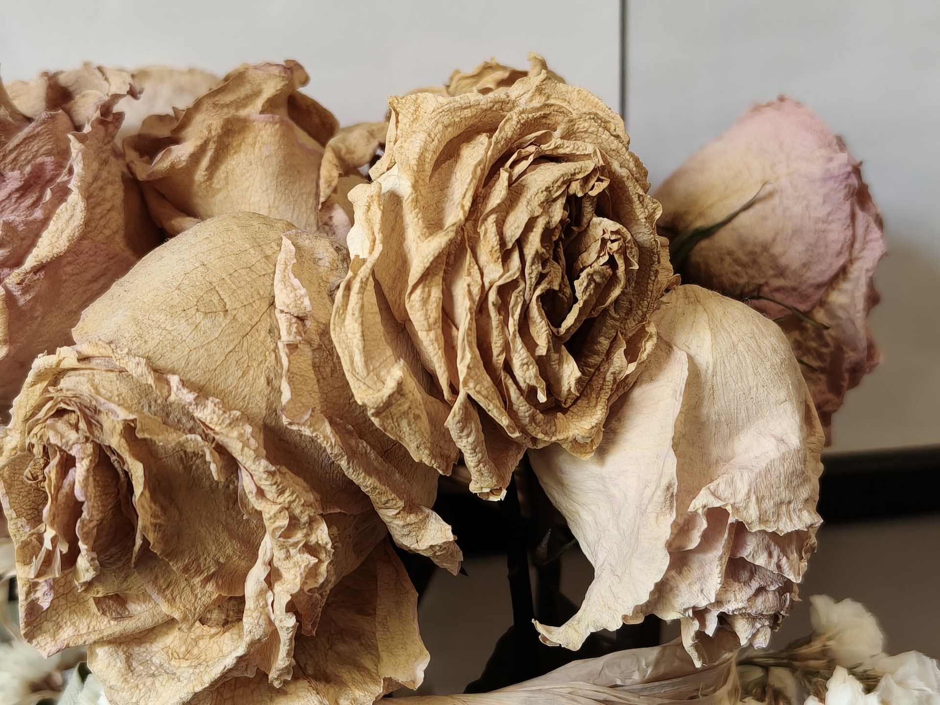 realme GT8 Dream Edition