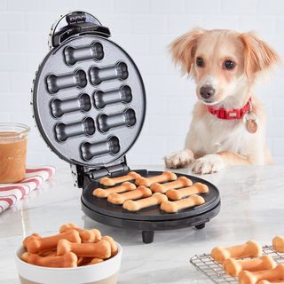 Williams Sonoma, Dash Dog Treat Maker