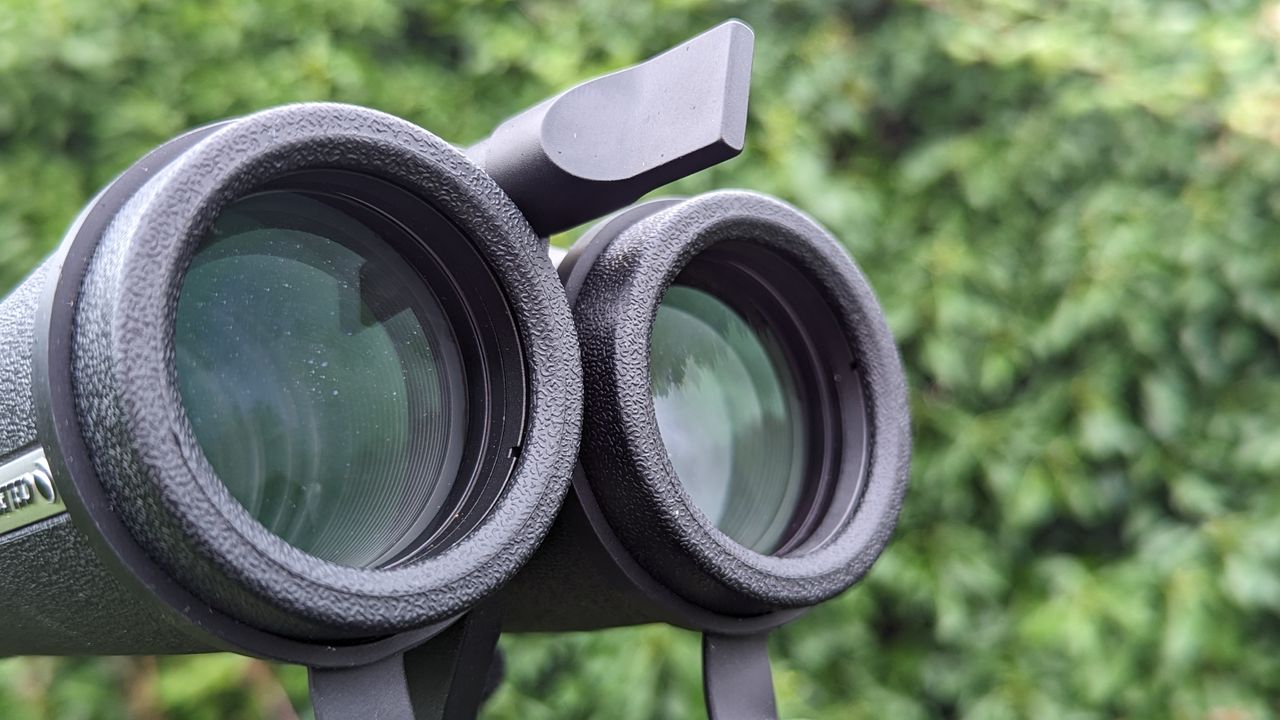 Binoculars with green foliage backdrop