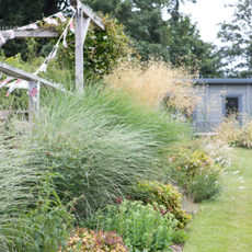 A garden filled with ornamental grasses, by Rengasamy