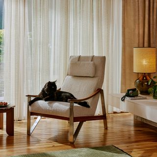 Boucle armchair with cat lounging on it