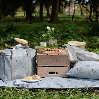 Blue picnic blanket with blue pillows and food on green grass