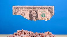 a dollar bill crumbling indicating eroding purchasing power