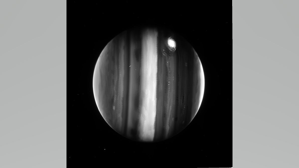 Jupiter glows in new James Webb Space Telescope raw image