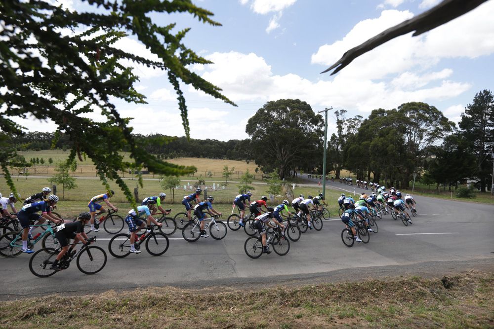 The peloton was lined out from the start