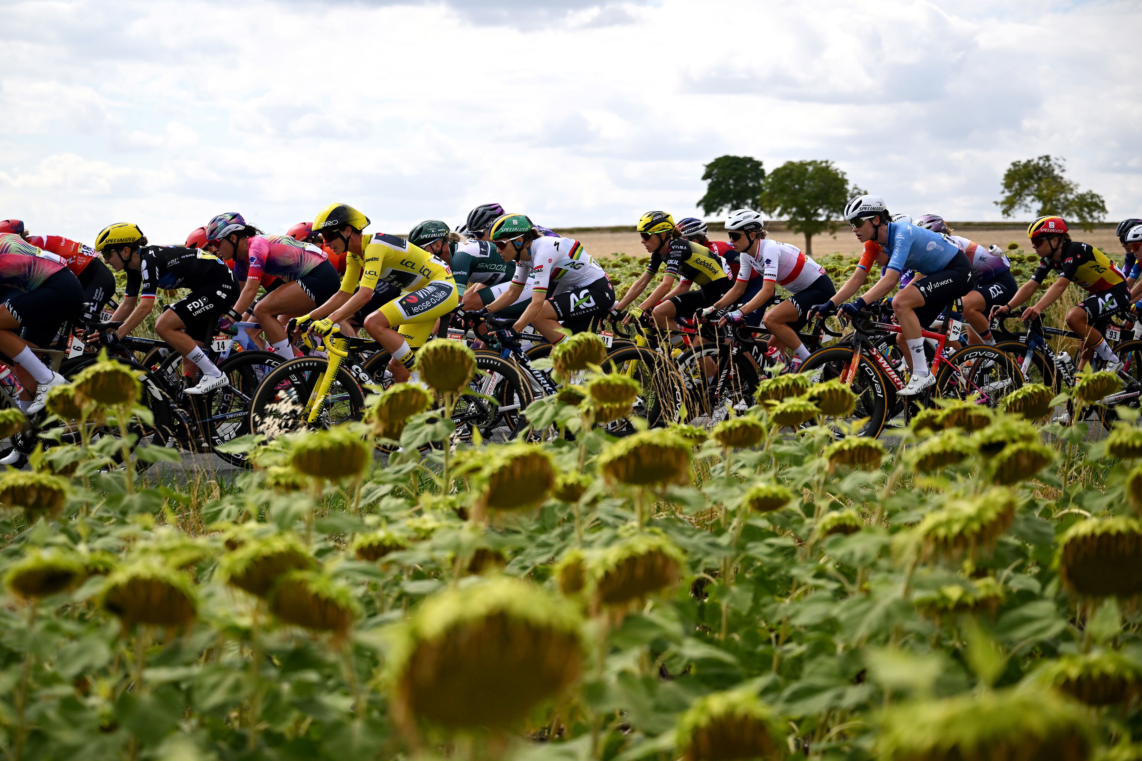 Peloton in the 4th stage of the Tour de France 2025.