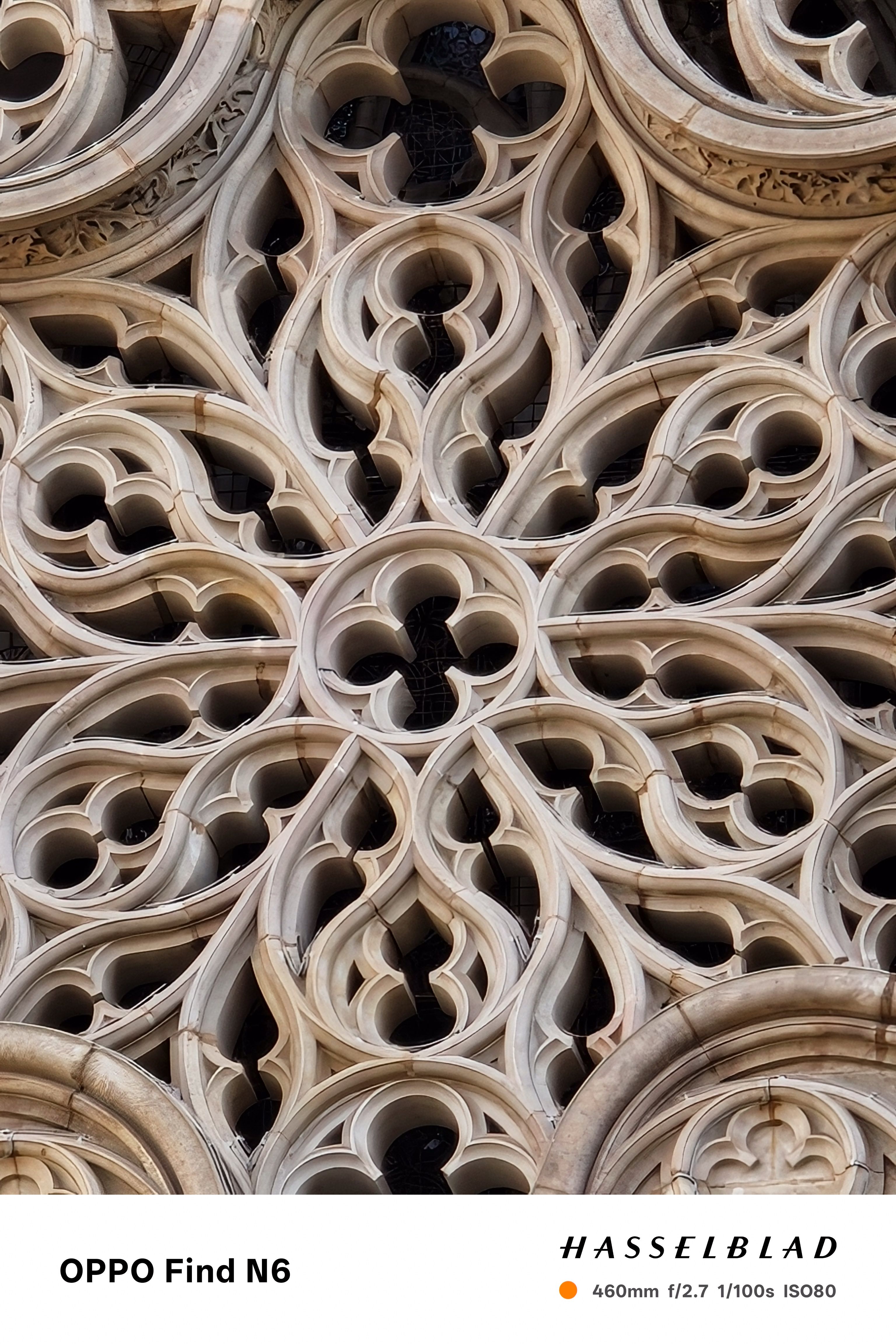 A slightly wider zoom of the cathedral's stone window tracery, emphasizing the symmetrical, flower-like geometry of the architectural design. The deep shadows within the cutouts create a high-contrast, graphic effect against the pale stone.