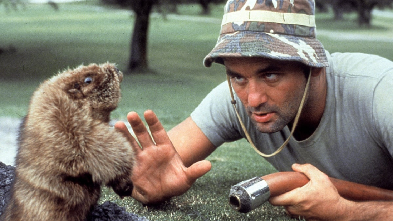 Bill Murray in Caddyshack.