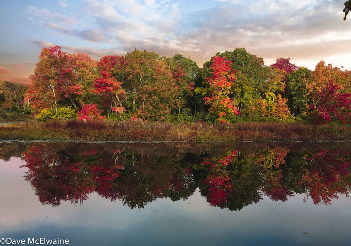 Fall foliage was almost at its peak in Massachusetts