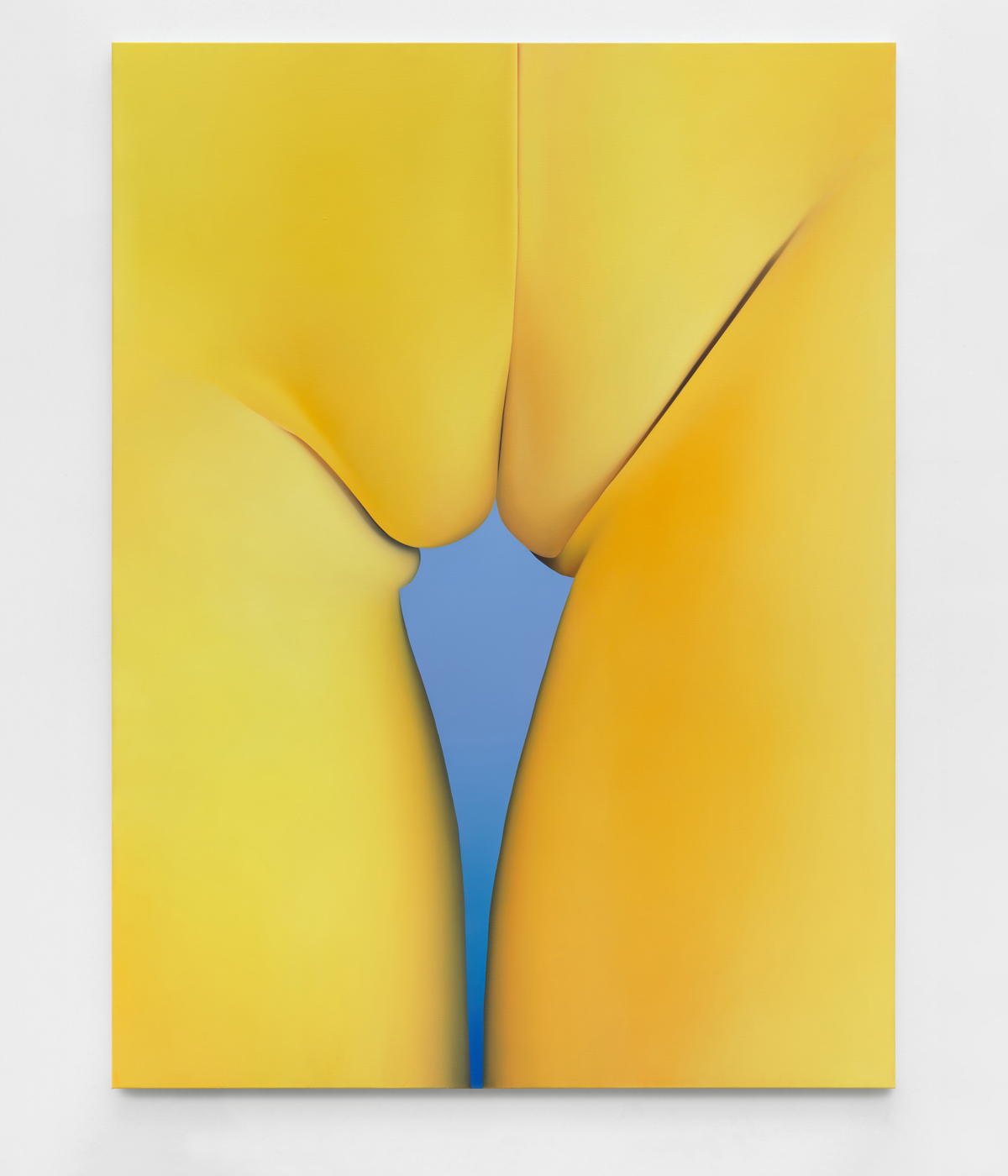 Yello and blue abstract artwork resembling woman's groin by Vivian Greven