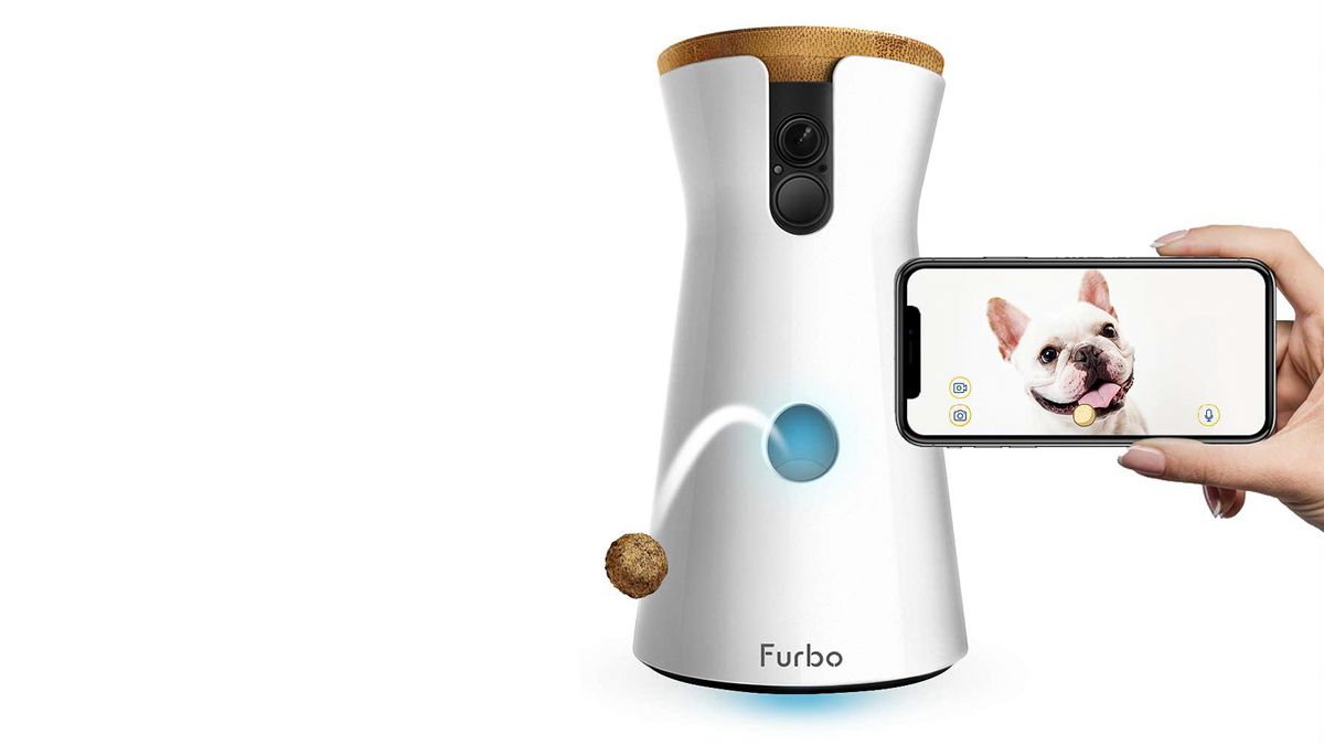 puppy camera for home