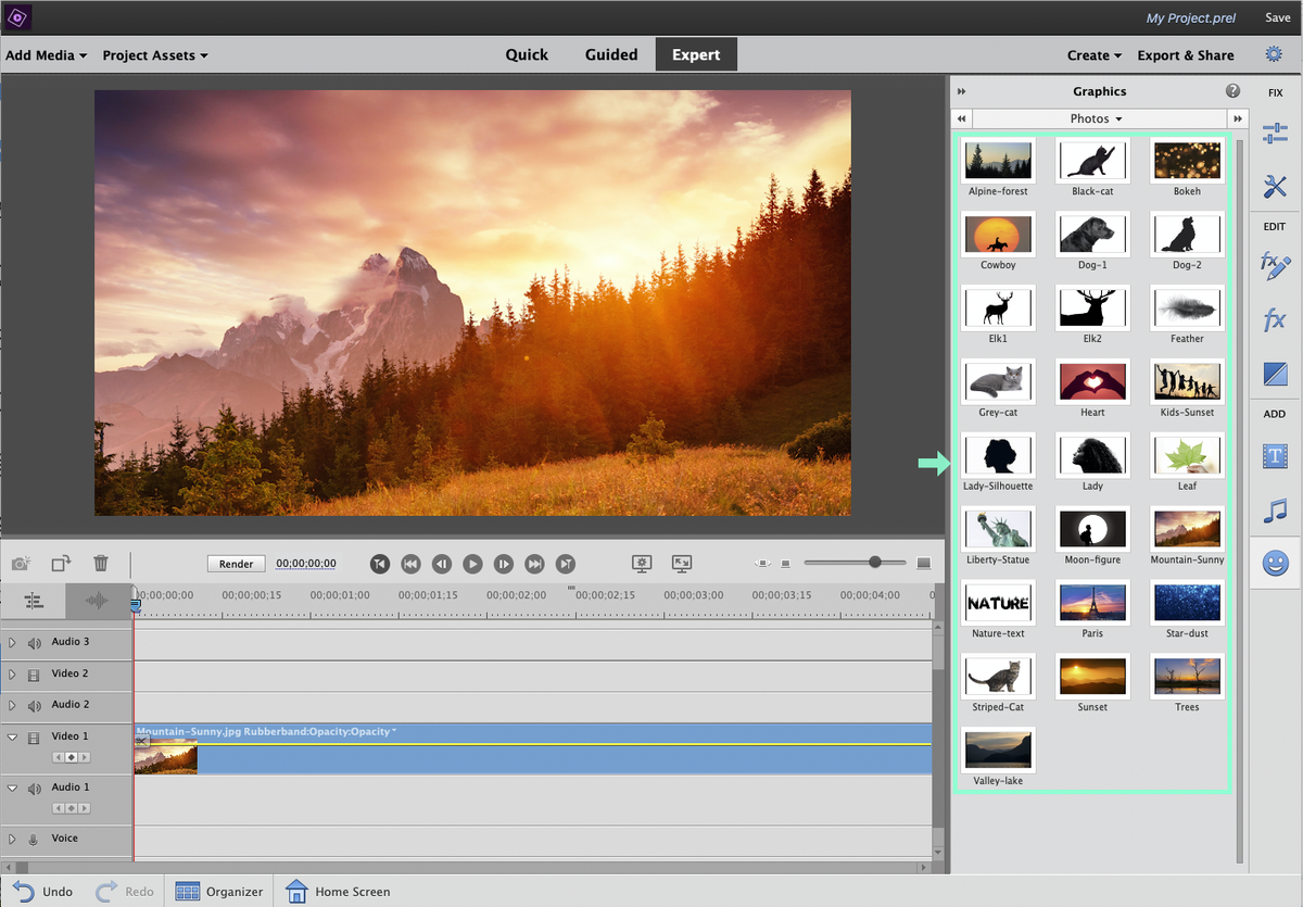 Adobe Premiere Elements 2021 Review