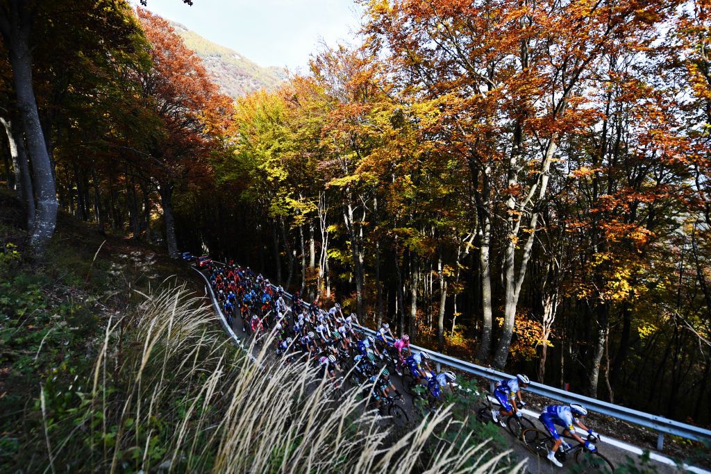 MADONNA DI CAMPIGLIO ITALY OCTOBER 21 Joao Almeida of Portugal and Team Deceuninck QuickStep Pink Leader Jersey Wilco Kelderman of The Netherlands and Team Sunweb Jai Hindley of Australia and Team Sunweb White Best Young Rider Jersey Monte Bondone 1575m Forest Peloton Landscape during the 103rd Giro dItalia 2020 Stage 17 a 203km stage from Bassano del Grappa to Madonna di Campiglio 1514m girodiitalia Giro on October 21 2020 in Madonna di Campiglio Italy Photo by Tim de WaeleGetty Images