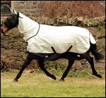 fly-sheet_web.jpg