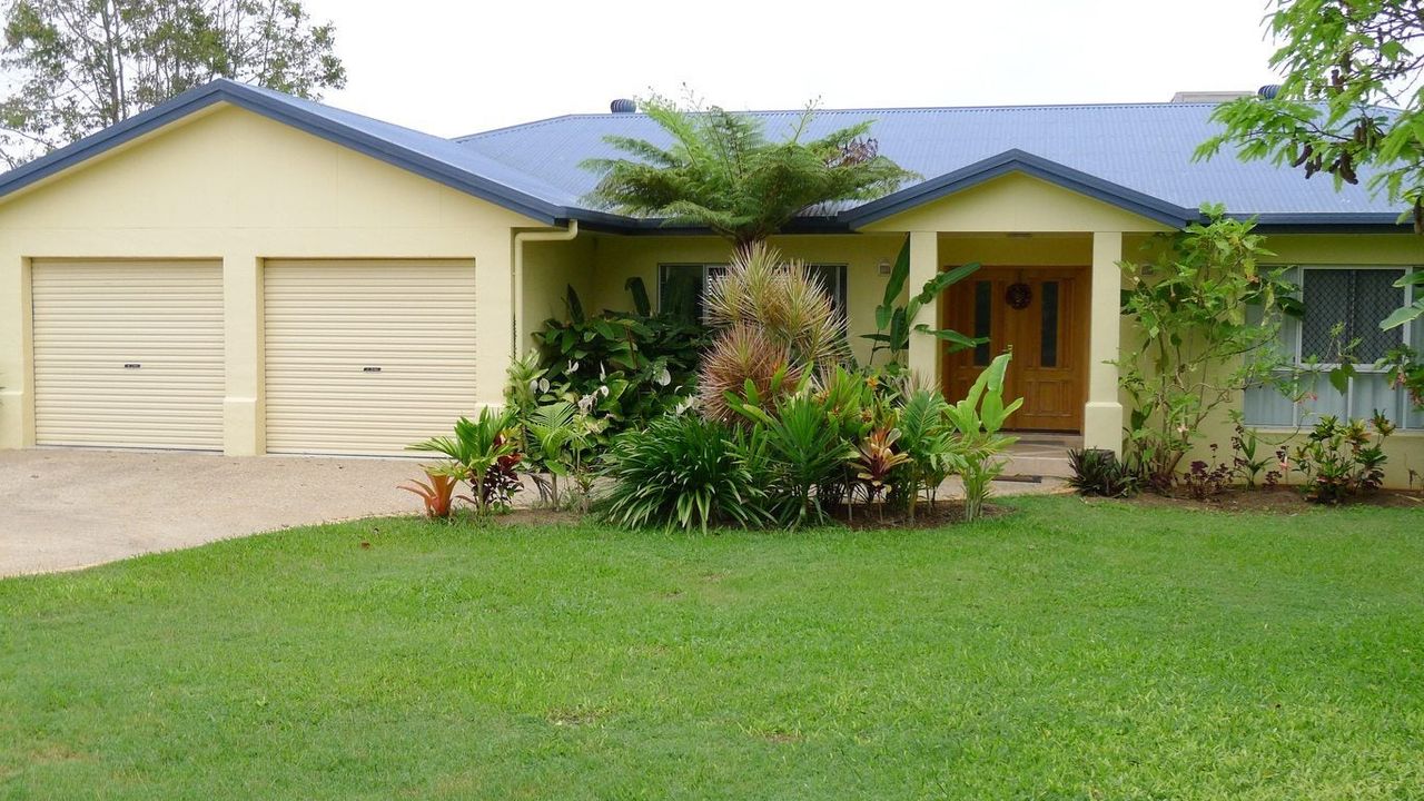 Green Grass And Plants In The Front Yard