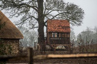 Harper Seven Beckham's treehouse