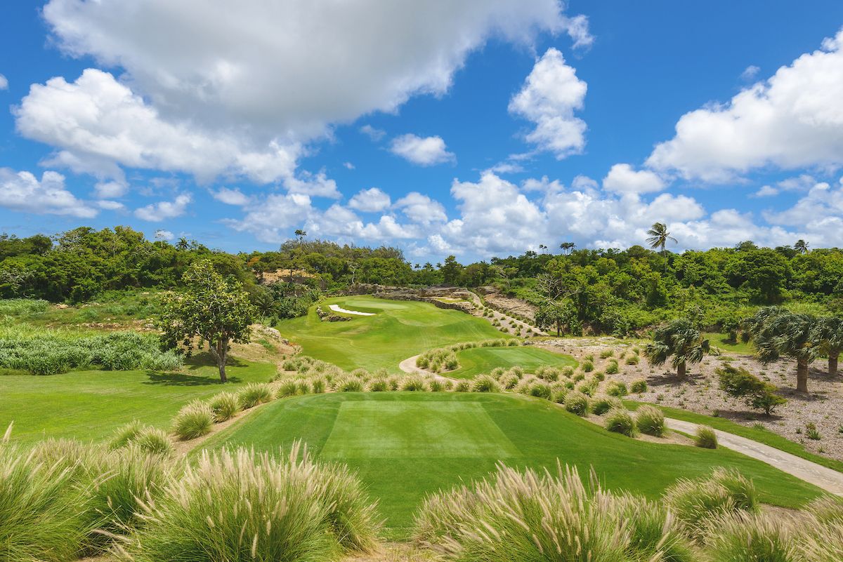 Ron Kirby Gives Green Light To His ‘Caribbean Masterpiece’ At Apes Hill ...