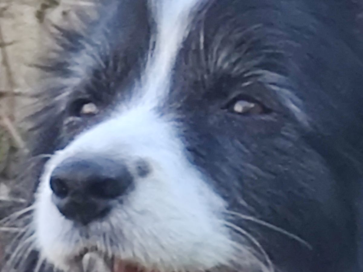 60X zoom