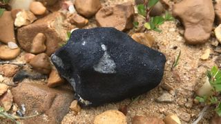 A meteorite spotted in Mississippi by Linda Welzenbach-Fries on April 30, 2022.