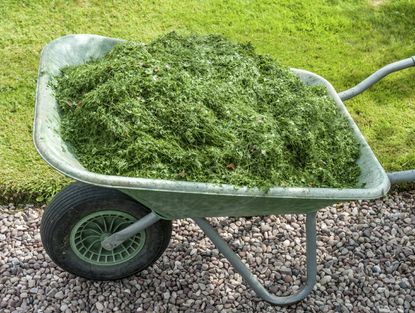 Wheelbarrow Full Of Grass Clippings